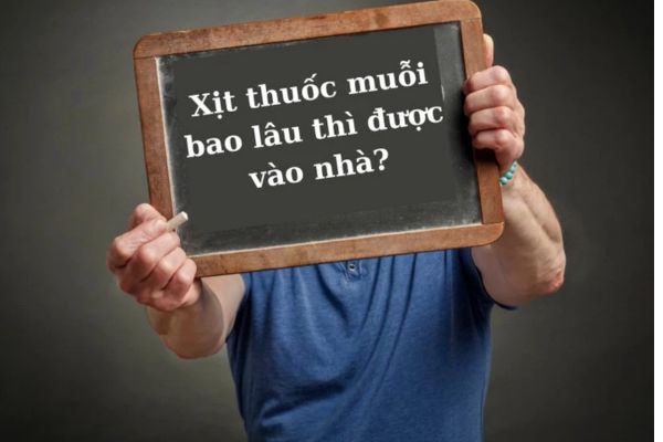 Tin tức