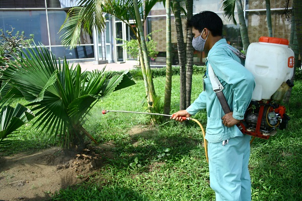 Dịch vụ diệt mối muỗi công trùng