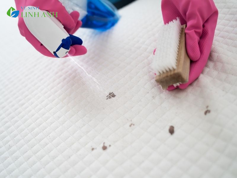 cách vệ sinh nệm kymdan đơn giản tại nhà