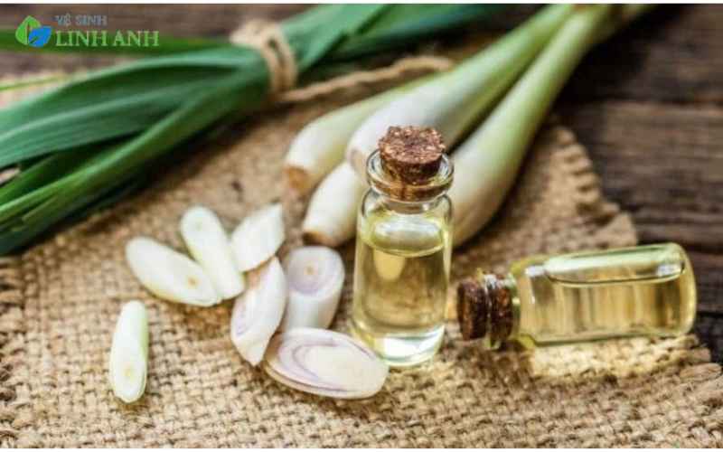 Top 10 cách đuổi muỗi trong phòng máy lạnh hiệu quả và an toàn