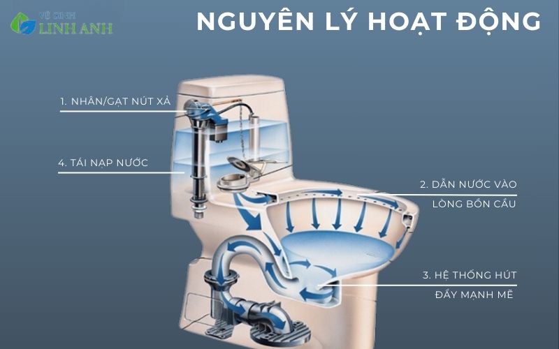 Giải Mã Chi Tiết Nguyên Lý Hoạt Động Của Bồn Cầu