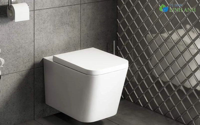 Các Loại Bồn Cầu Phổ Biến và Nguyên Lý Hoạt Động Tương Ứng