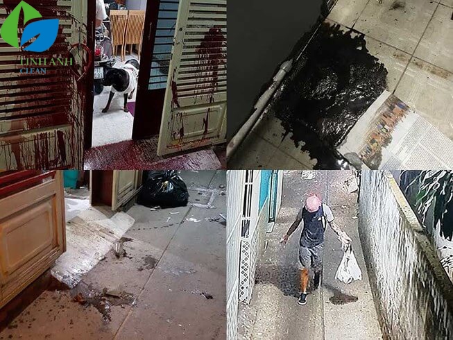 ve sinh nha bi dap son mam tom 1