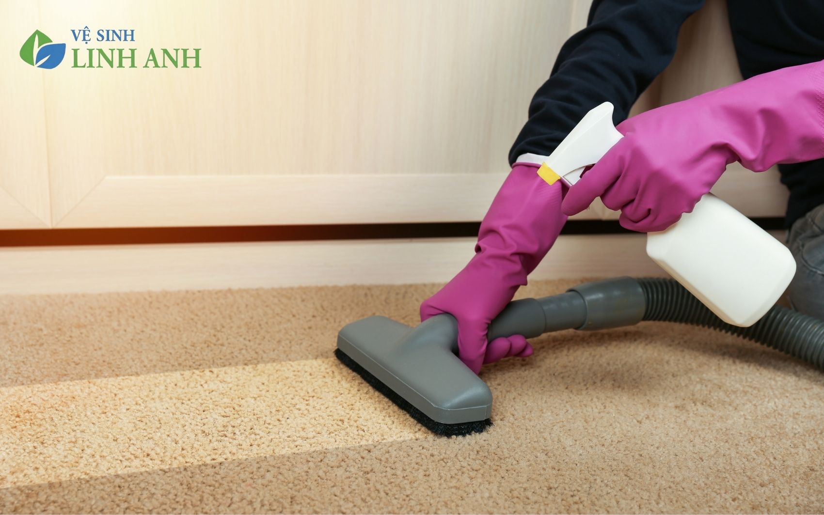 Dịch vụ vệ sinh thảm kỹ lưỡng bằng máy móc