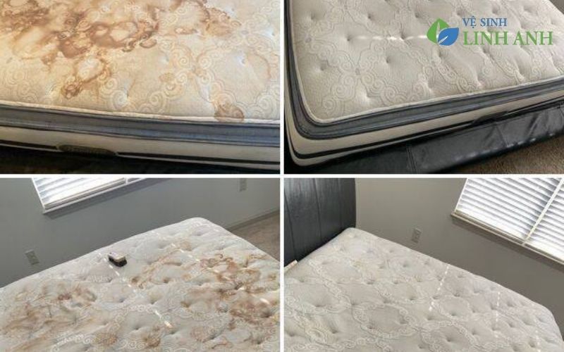 Báo giá dịch vụ vệ sinh công nghiệp tại quận Hà Đông Hà Nội chuyên nghiệp giá rẻ 11 dịch vụ vệ sinh công nghiệp tại Hà Đông chất lượng cao